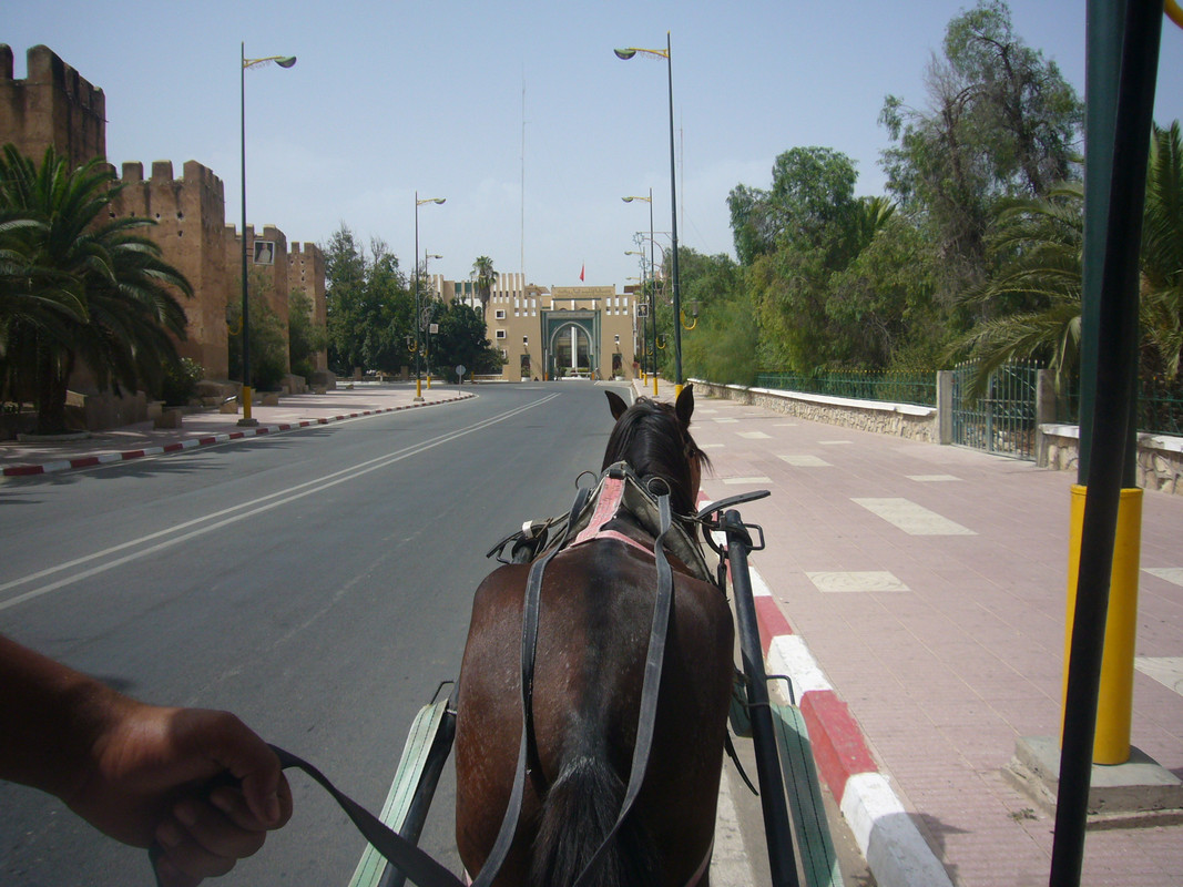 Taroudant, Ciudad-Marruecos (4)