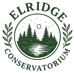 [Image: Camp-Logo.png]