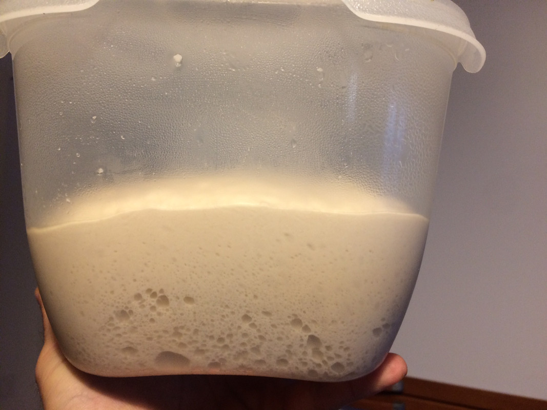 IMG_9322 - dopo 21hr in frigo a 9C