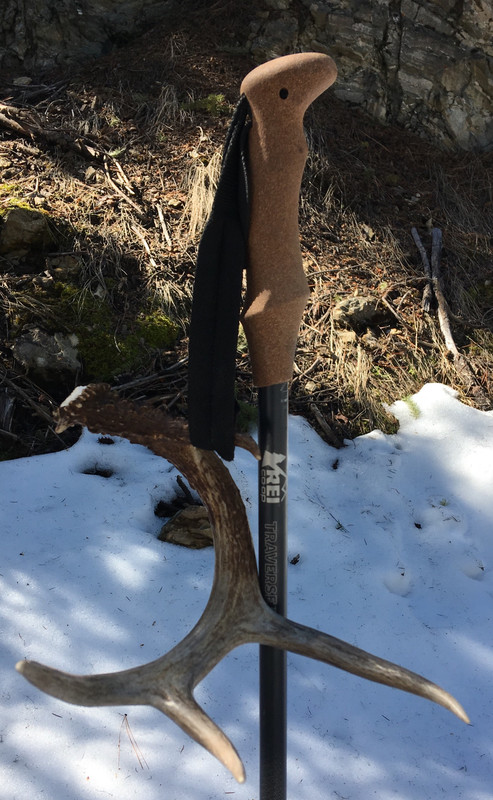 9A02300A-1428-4130-AB39-3AB20A8A76AD