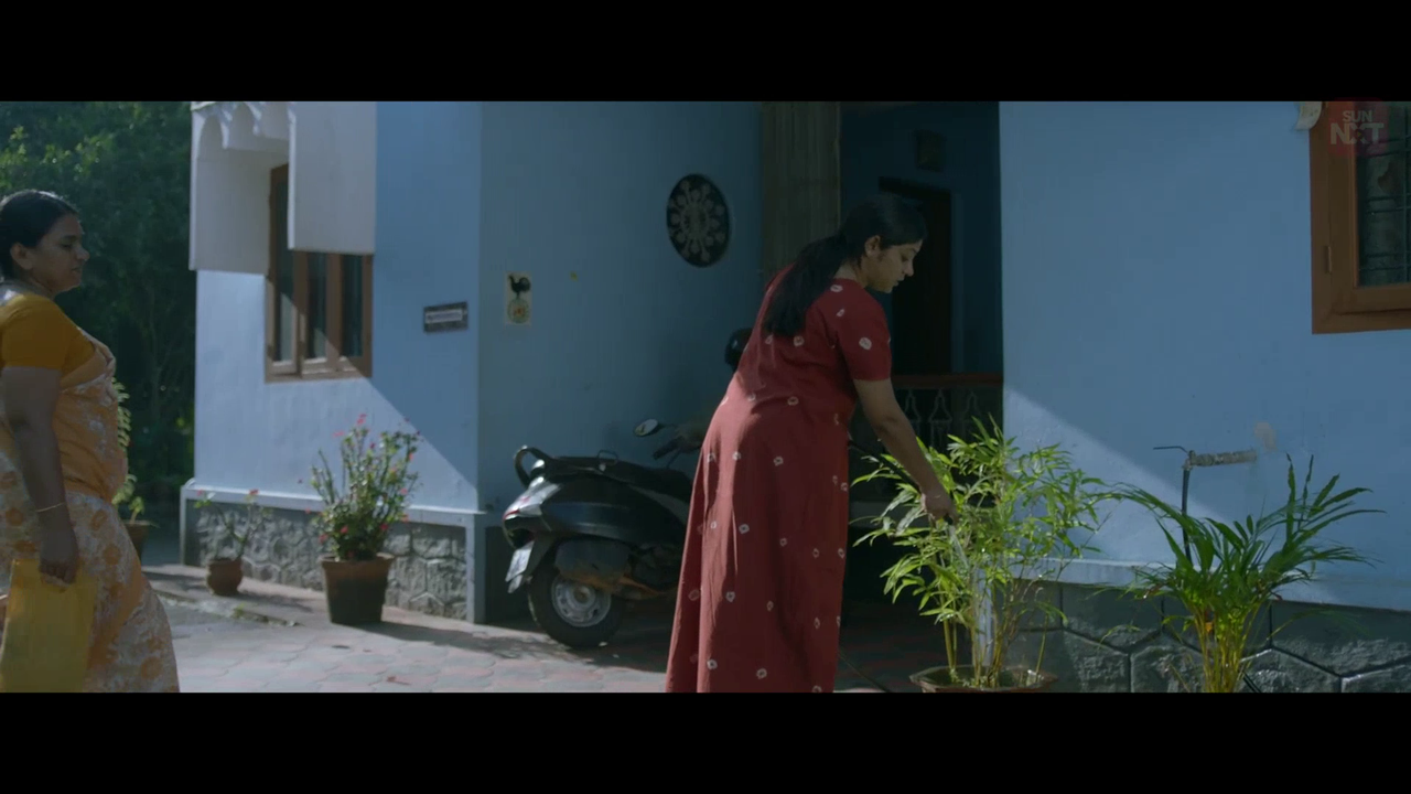 vlcsnap 2026 02 11 15h39m49s552