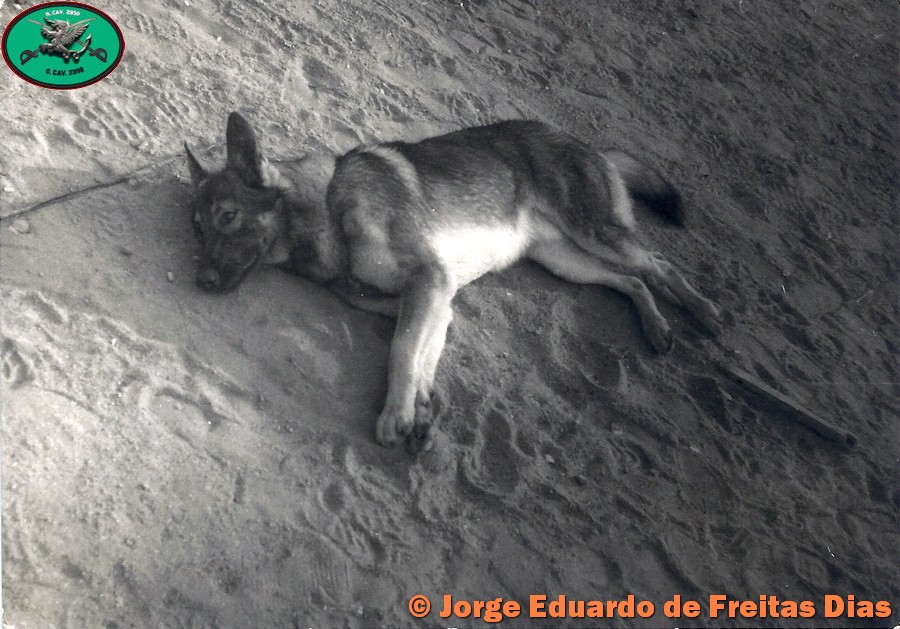 ultramar-freitas-dias0124