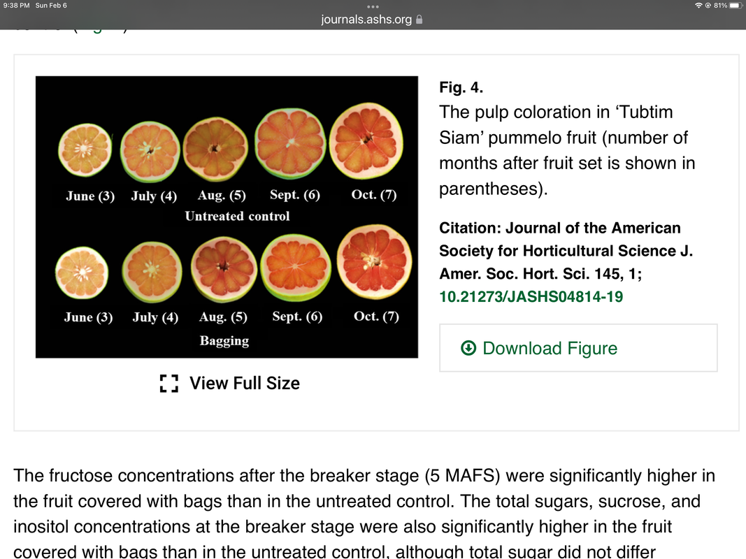 950B0F23-BE40-4C56-B70A-7C61C776CEDF