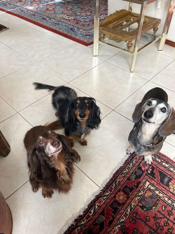 [Image: IMG-6193.jpg]