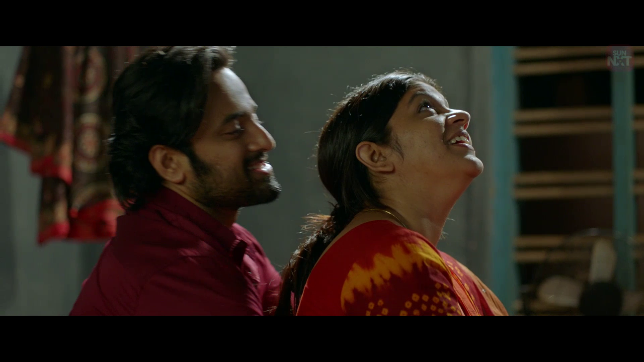 vlcsnap 2026 02 10 19h48m08s259