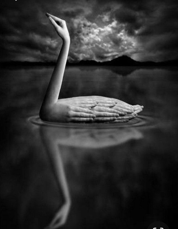 Screenshot_20240124_192252_Pinterest