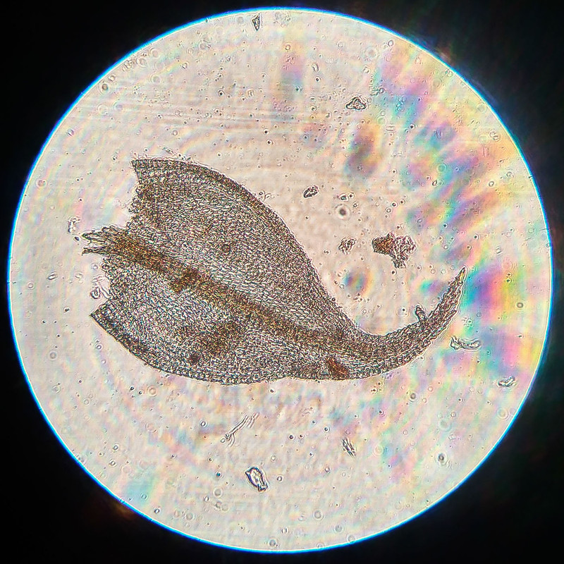 IMG 20250615 222828 HDR