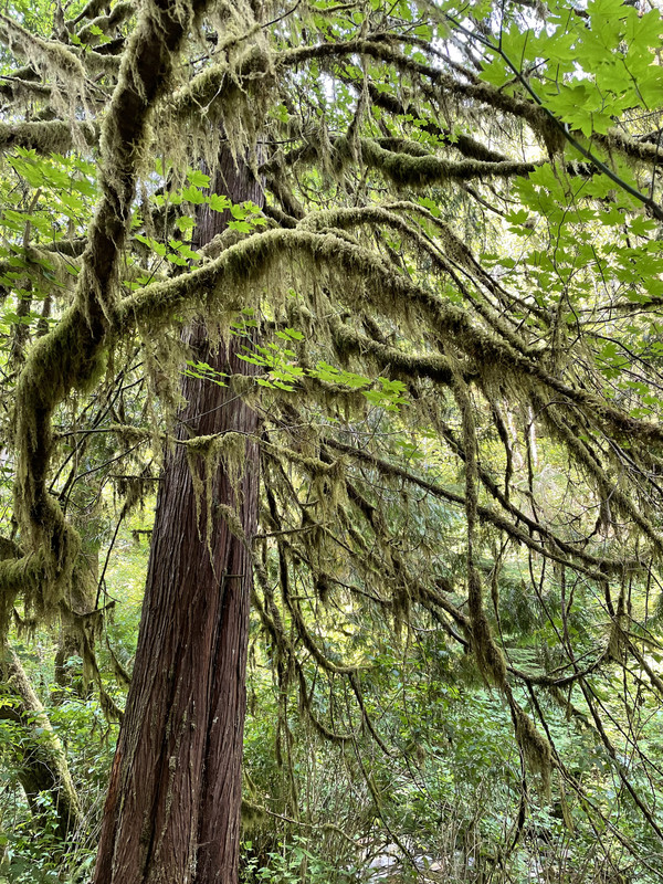 C9A0D92F-B103-46B0-953E-586651A1A593