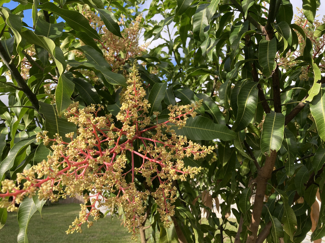 2A1E3542-BC51-4F0D-B334-79D3A1A7719B