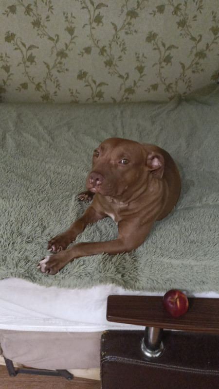 05569C29-6B75-438B-954C-46A4A63A100D