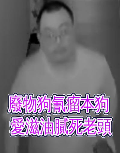 0.狗清流=狗雨婷=同一隻狗搞肛門的