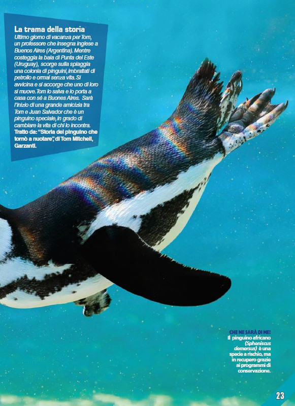 Foc Wil - Feb 2024 (6)