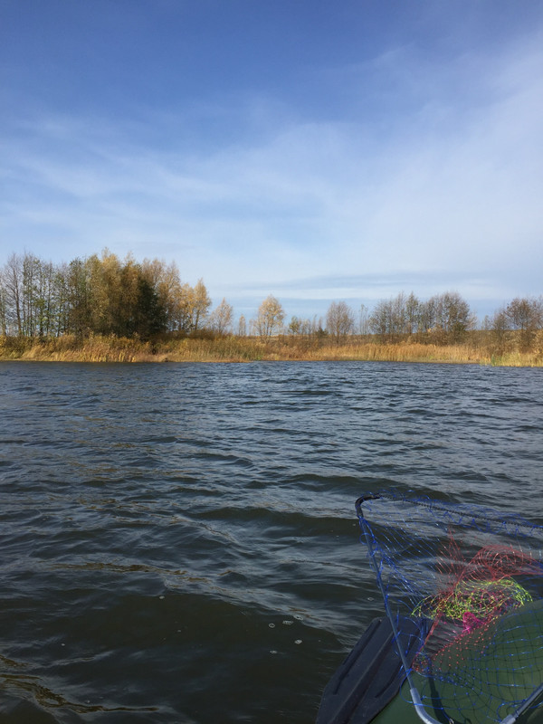 B99D6A5A-A9A9-401B-BDCF-B7AF15DADA11