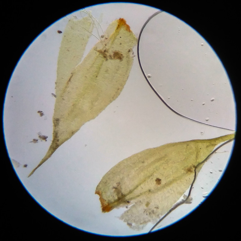 IMG 20250617 111816 HDR