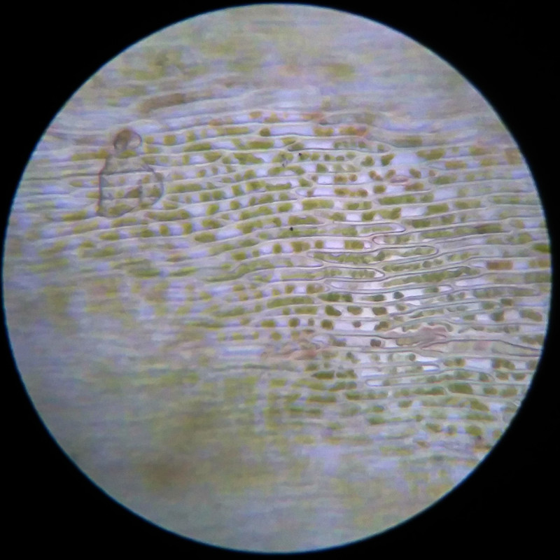 IMG 20250617 112304 HDR