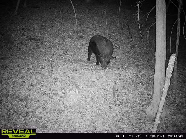 E64883D7-5C17-42BD-B47D-9422A2299681