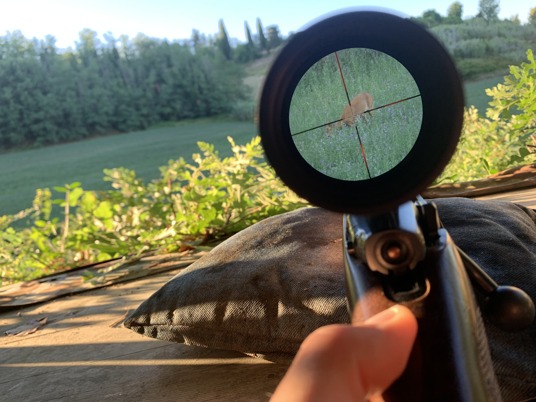 63525220-5479-49C4-968A-493C2BCA45A5