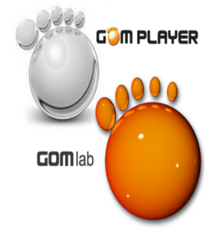 GOM Player 2.3.56.5320 Multilingual