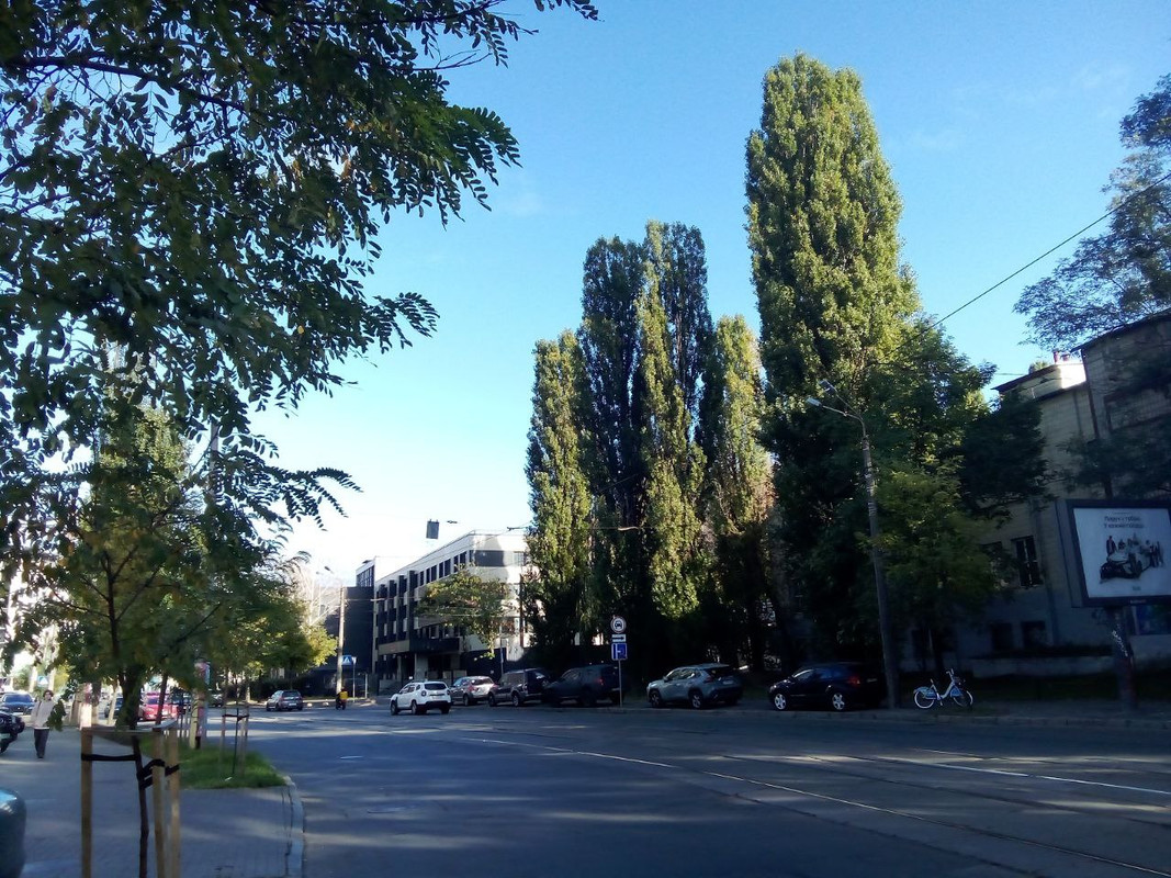 photo_2024-10-19 7.22.35 пп