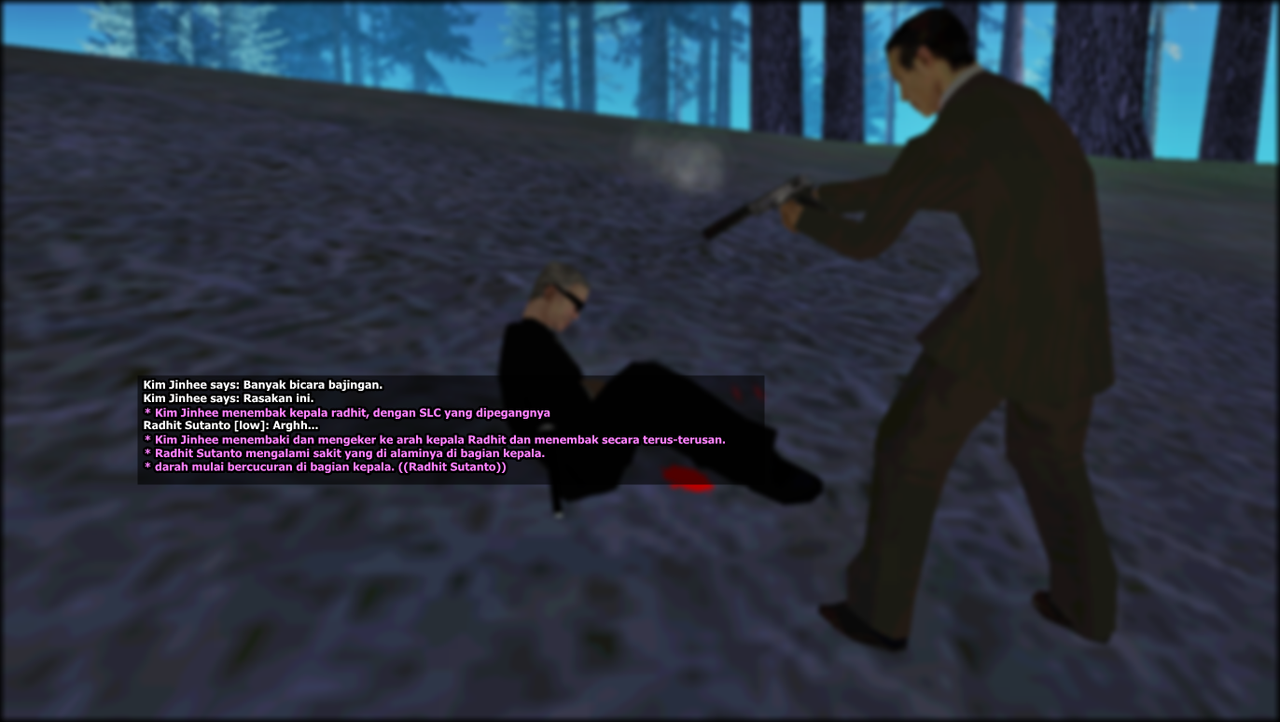 13.png