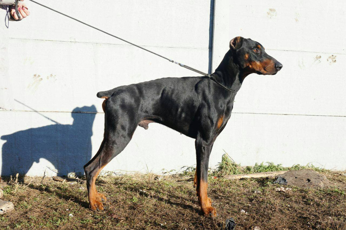 47510955_354992785232396_6160425219338010624_o