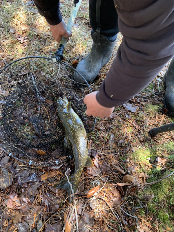 77BFB6D6-052E-4694-BEC7-91FD9E53C71E