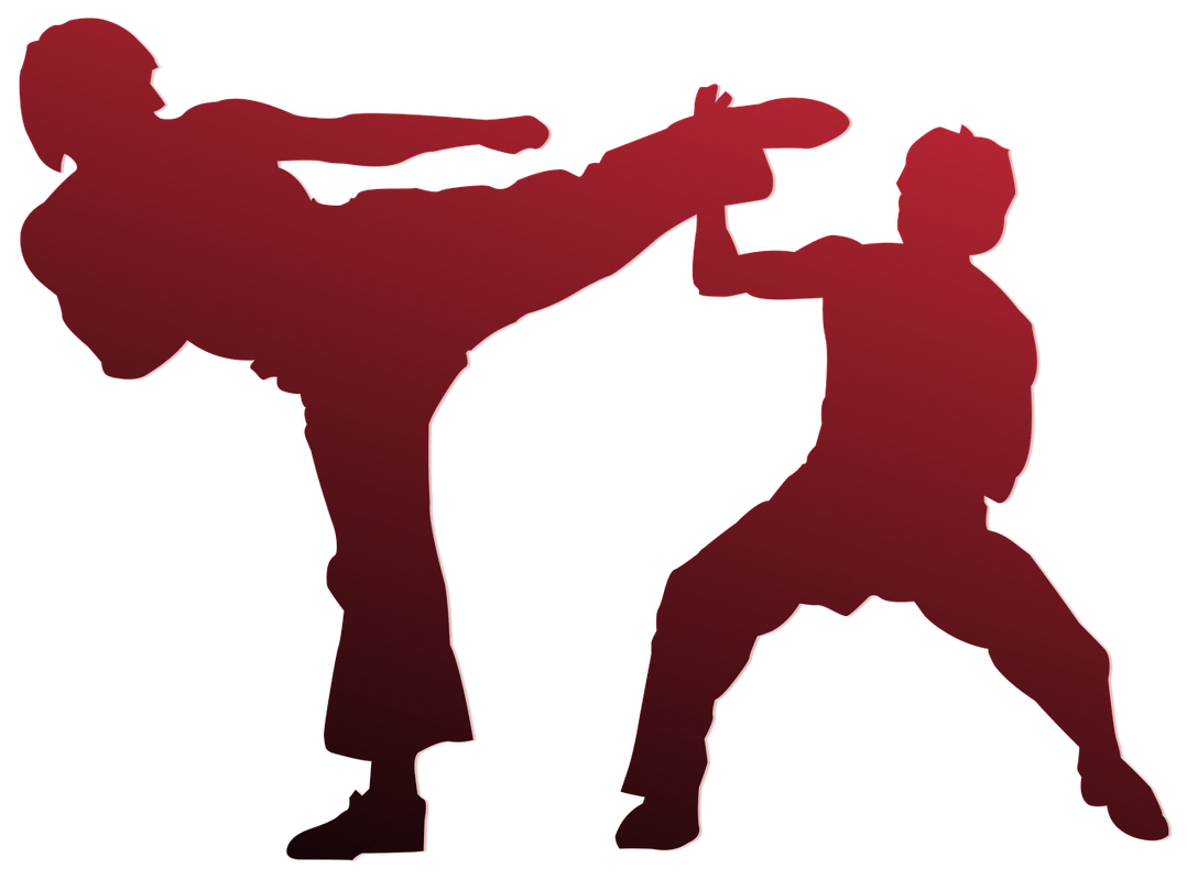 karate1