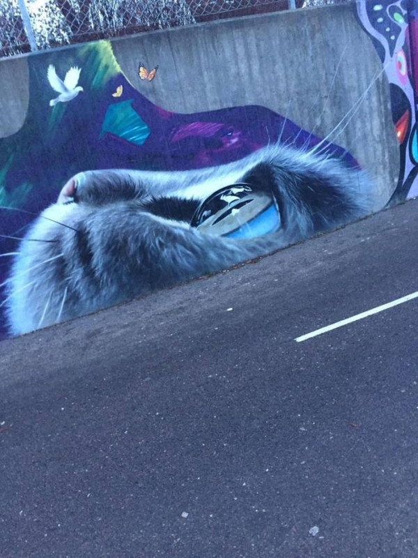 Amazing-10