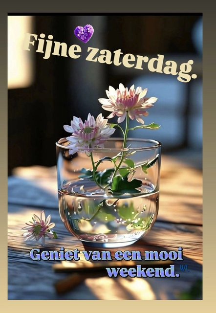 zaterdag