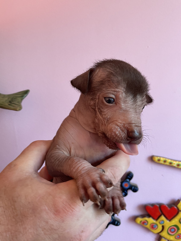 9A9F1FCC-79F2-4AA9-9C4B-4C62AD6BE6C0