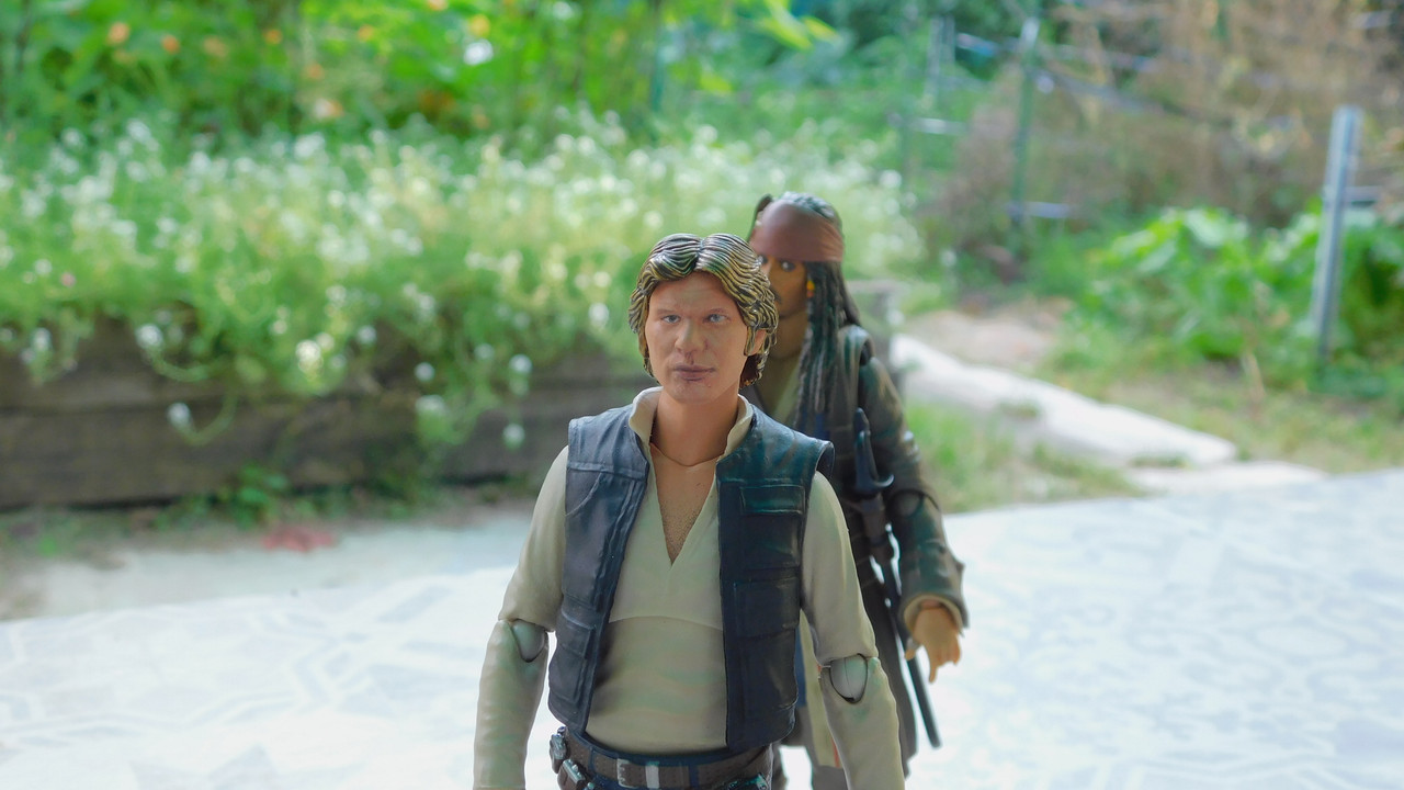 Дачно-барбейское июль, Харлинское 2-я серия 194