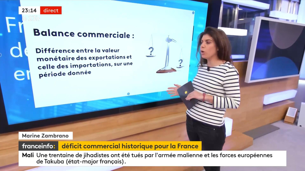 02.08 - 21.59.00 - Le 23H. Le Grand Jt Du Soir De France Télévisions,...-1.m4v_snapshot_00.17.40_[20