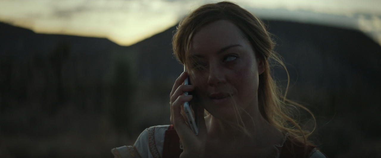 Ingrid Goes West 2017 (1080p x265 10bit Tigole).mkv_snapshot_01.