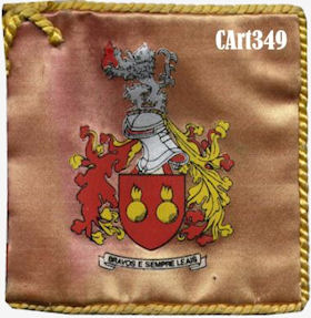 CArt349