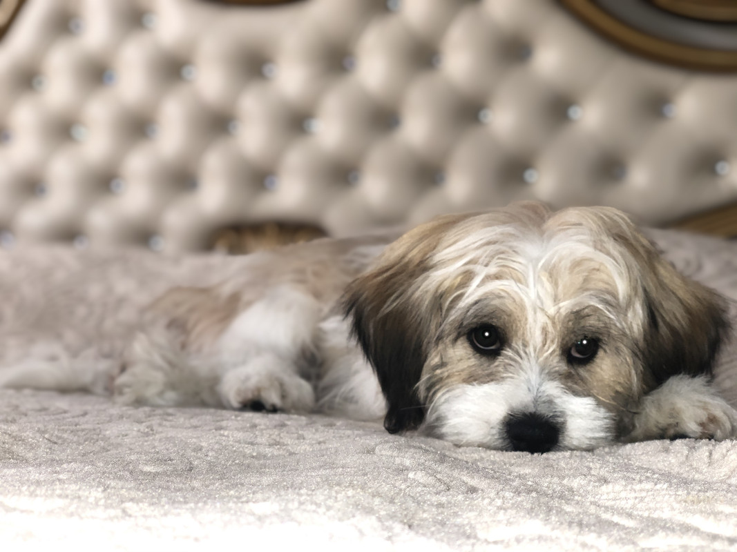 2476D0EF-BEF9-4D08-9530-EA3F499B29B9