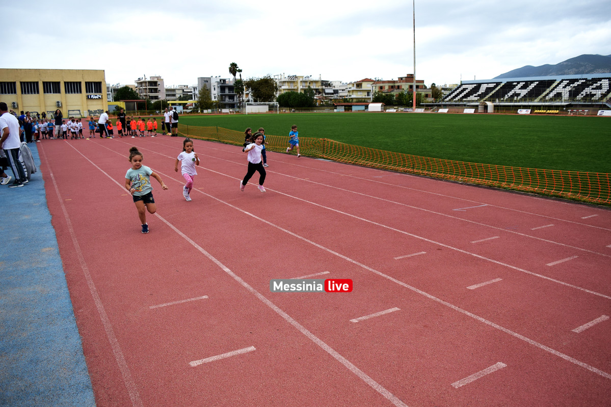 ΑΚΡΙΤΑΣ ΣΤΙΒΟΣDSC_0330