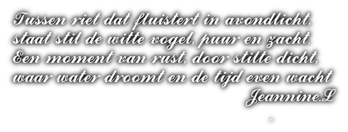 cooltext498760507905272