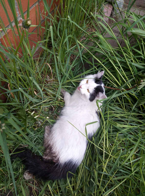 76B9C4C6-E8F5-472C-BF50-F45D4AEB1906