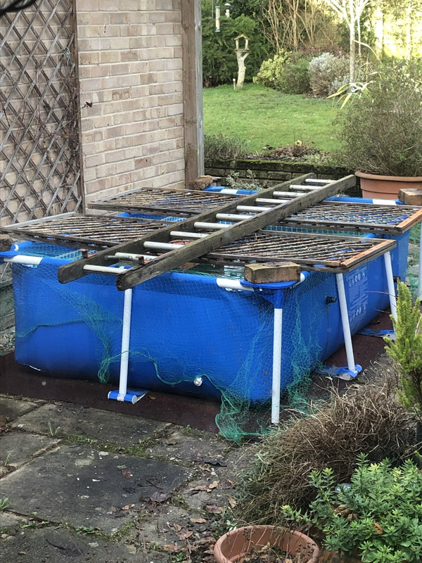 943EFCAB-562A-4AFF-ABBC-7F86855CF062