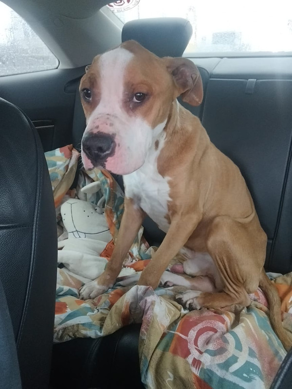 WhatsApp Image 2023-03-17 at 16.04.36 (1)