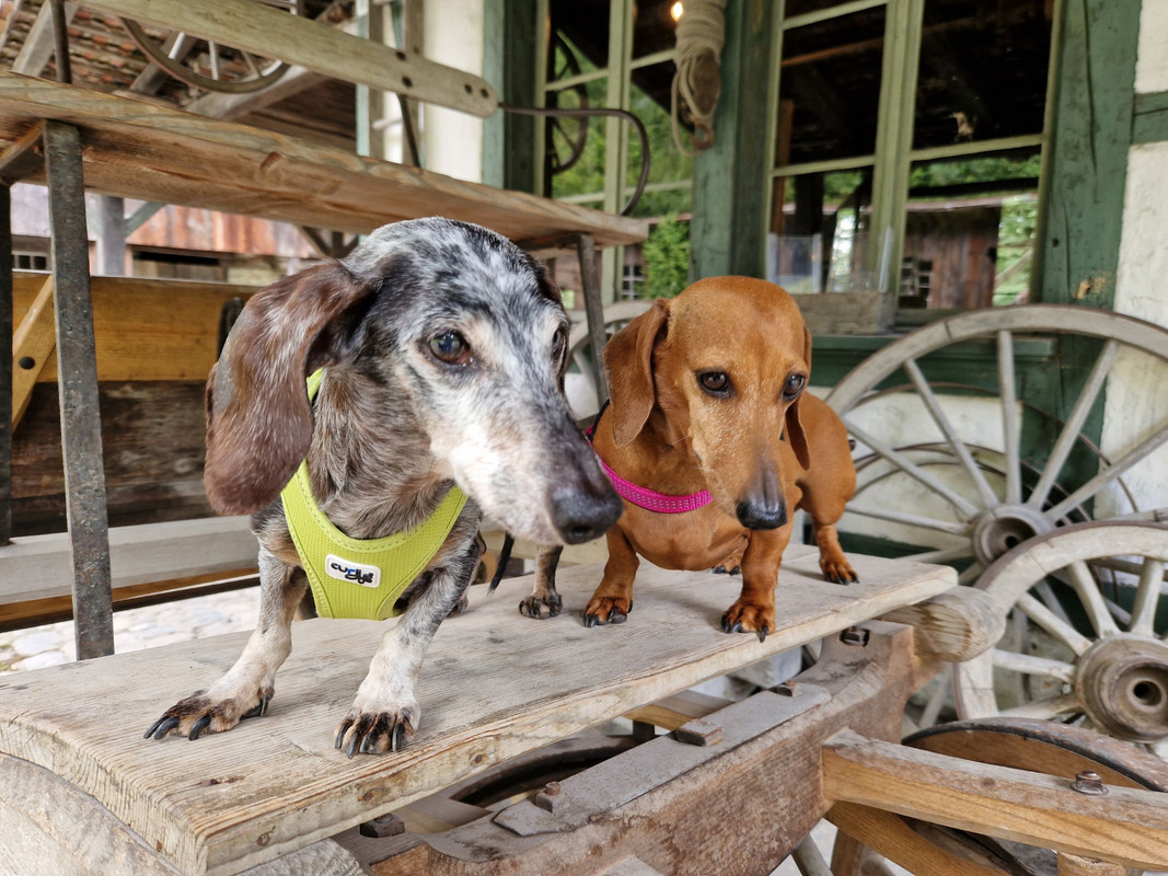 [Image: 20240623-123347.jpg]