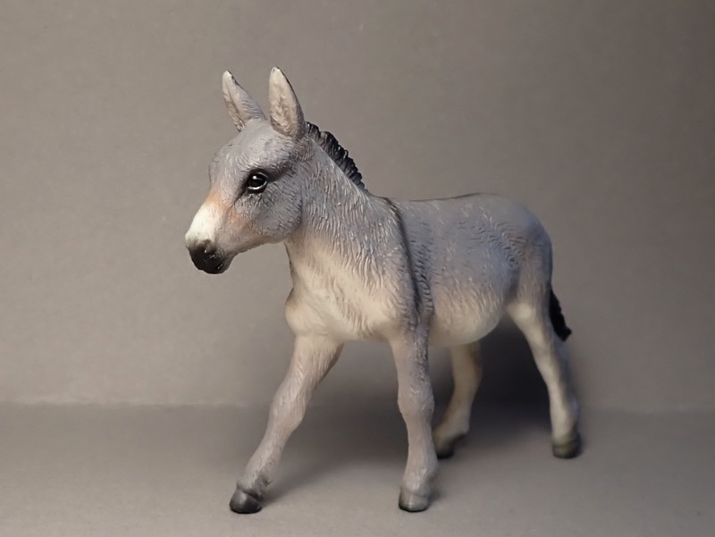 Lovely donkeys from Mojo 2020 :D P6290037