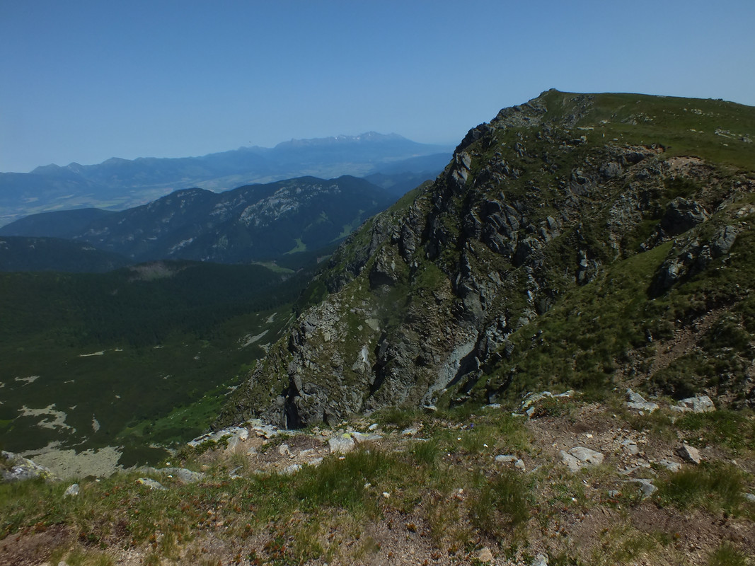 2019_0630DUMBIER0080