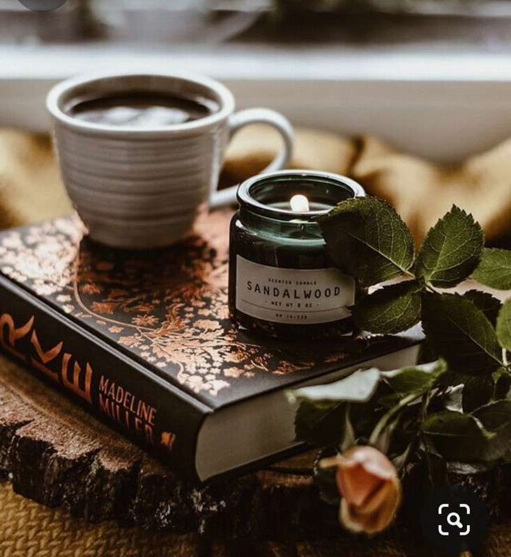 Screenshot_20230830_231228_Pinterest