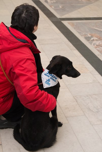 31DF873B-2426-42E7-9620-D6A894DACBB9