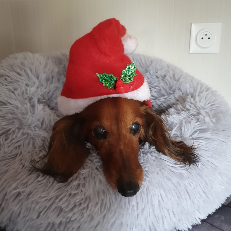 [Image: 20211204-111227.jpg]