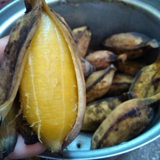 [Image: C361-F96-F-98-BB-404-E-BD14-B8-DBFBC277-DD.jpg]