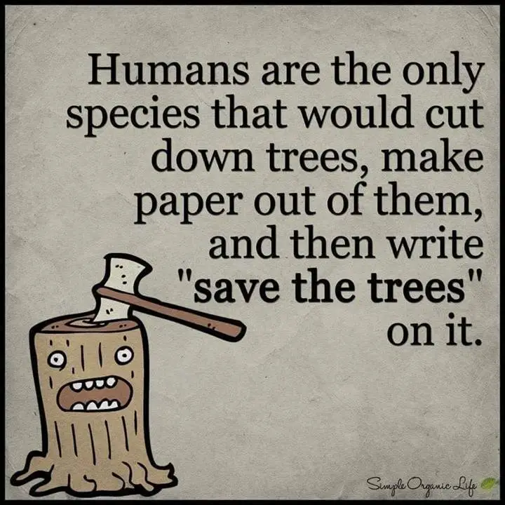 [Linked Image from i.postimg.cc]