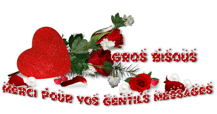 Saint-valentin-(233)