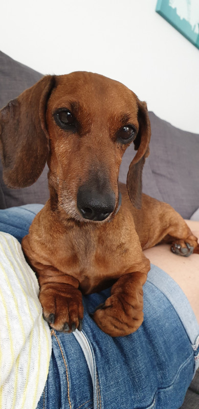 [Image: 20200801-114733.jpg]